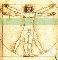 vZone inspired by the Vitruvian Man